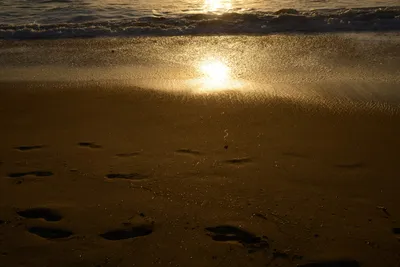 DSC_7083 (Large).JPG